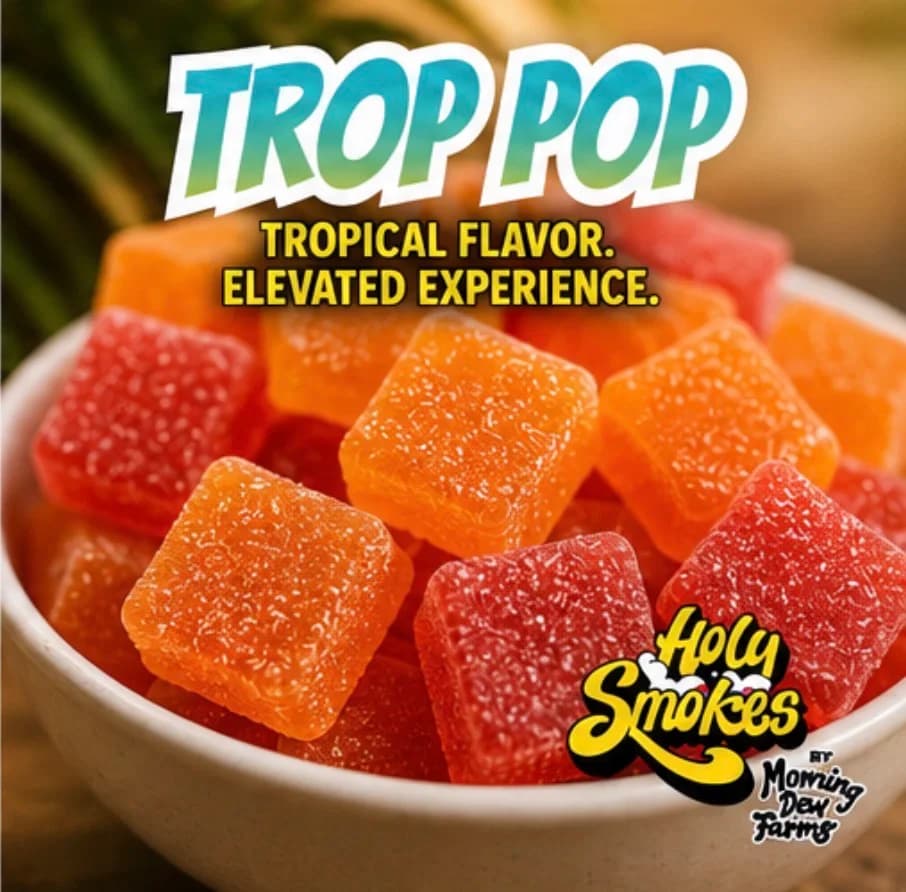 Close-up of a bowl of sugared orange Trop Pop gummies with the tropical flavor, elevated experience tagline.