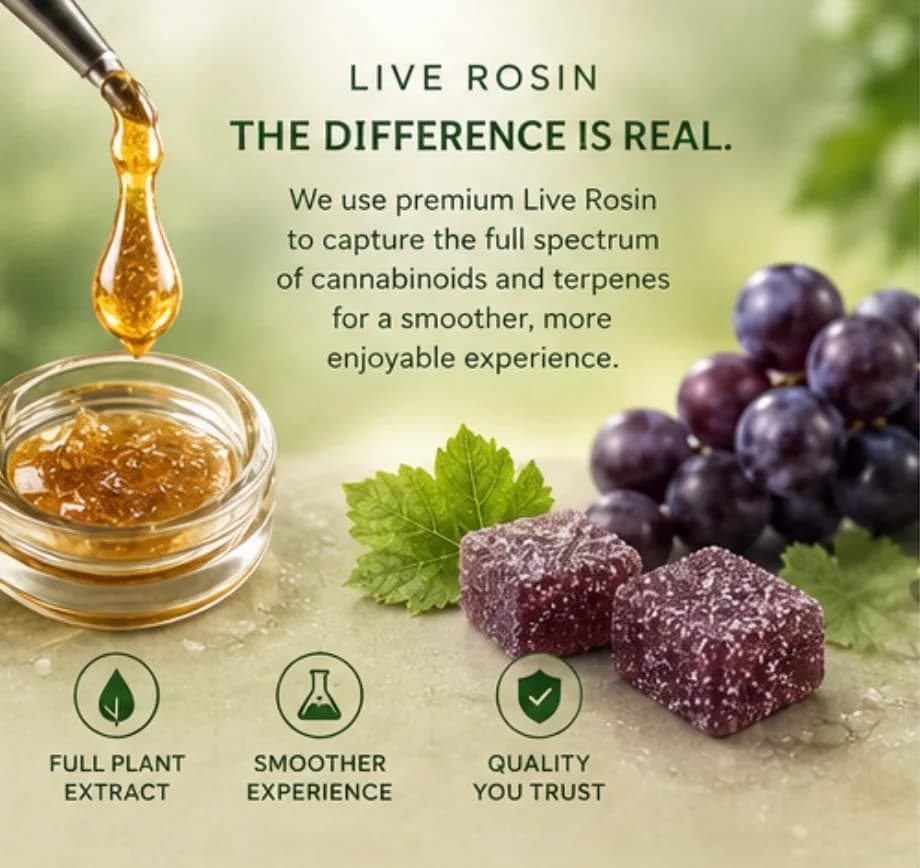 Live rosin panel: golden rosin dripping from a dab tool over a jar, beside grape gummies, explaining the solventless difference.